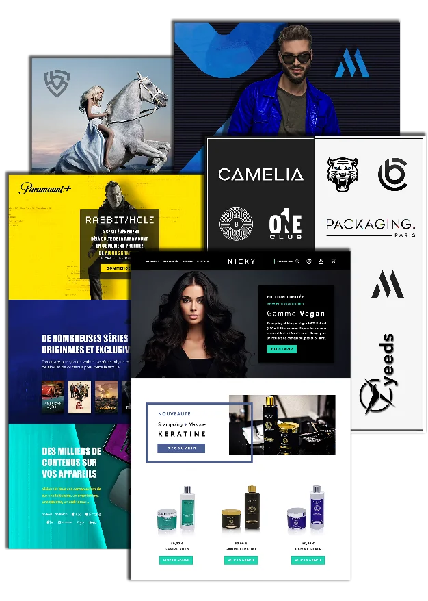Aperçu des Réalisations en Webdesign de l'Agence Nev Interactive à travers des exemples de Chartes Graphiques Créative, de Logos Attractifs ou de Maquettes Percutantes.